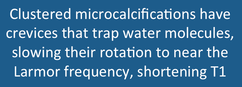 MRI short T1 calcification