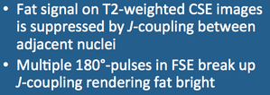 Fast SE/Turbo SE fat signal