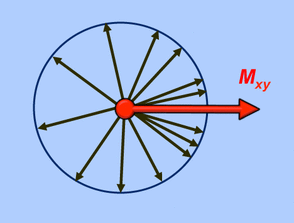 T2 relaxation, spin-spin (transverse) relaxation, dephasing