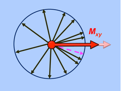 T1 and T2 relaxation NMR