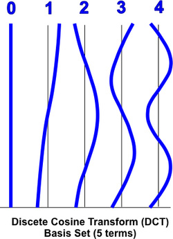 Discrete Cosine Transform Basis Set